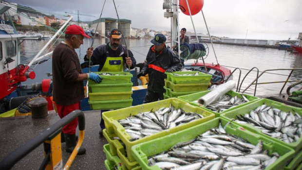 ep archivo   cajas de pescado a su llegada al puerto de burela