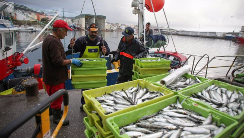 ep archivo cajas de pescado a su llegada al puerto de burela ep archivo cajas de pescado a su llegada al puerto de burela
