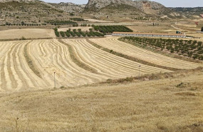 ep campo de cultivo de cereal en jaulin