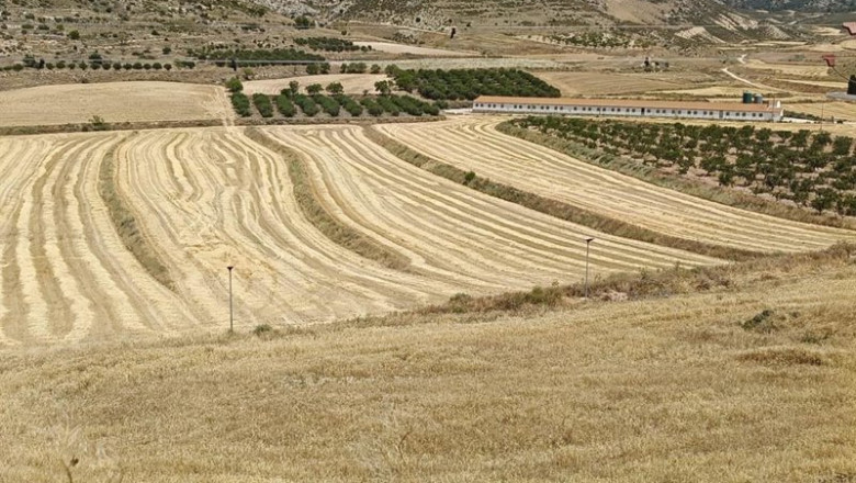 Campo de cultivo de cereal en Jaulín. | EUROPA PRESS ep campo de cultivo de cereal en jaulin