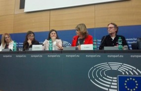 ep delegacionautoresestrasburgo