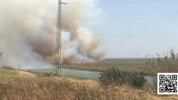 ep incendiogibraleon