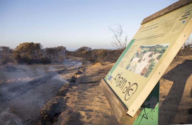 ep incendioparque naturaldonana huelva