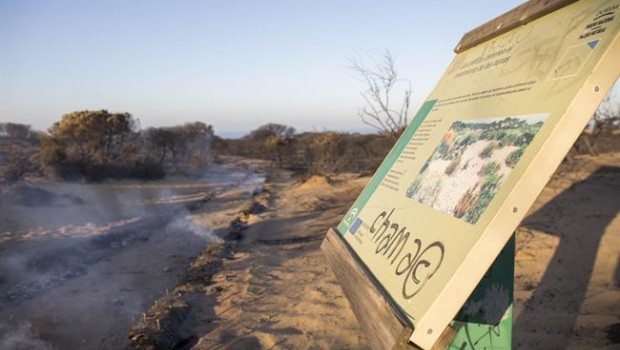ep incendioparque naturaldonana huelva