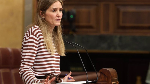 ep la vicepresidenta tercera y ministra para la transicion ecologica sara aagesen interviene durante 20250514130804