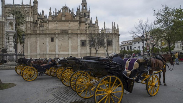 ep numerosos coches de caballos se aglomeran en las paradas habilitadas andalucia espana