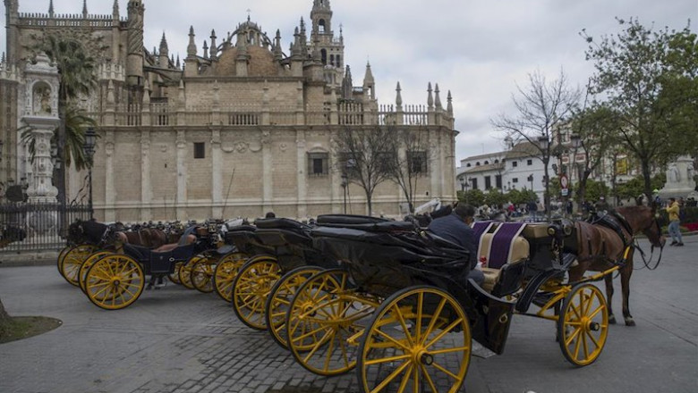 ep numerosos coches de caballos se aglomeran en las paradas habilitadas andalucia espana