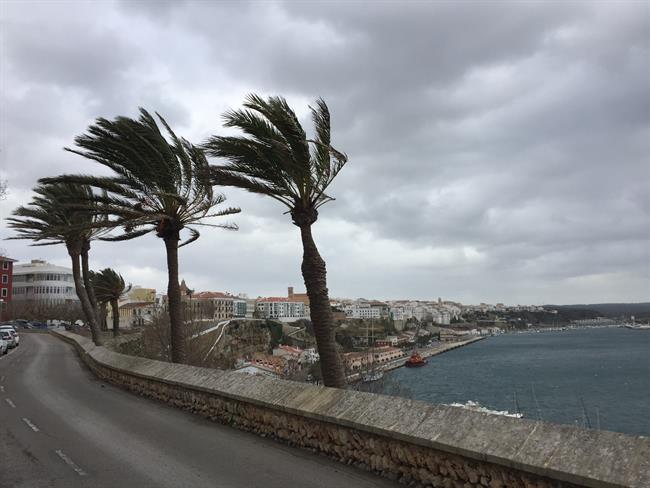 Palmeras afectadas por el fuerte viento en Menorca | EUROPA PRESS ep palmeras afectadasfuerte vientomenorca