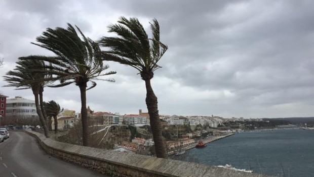 ep palmeras afectadasfuerte vientomenorca