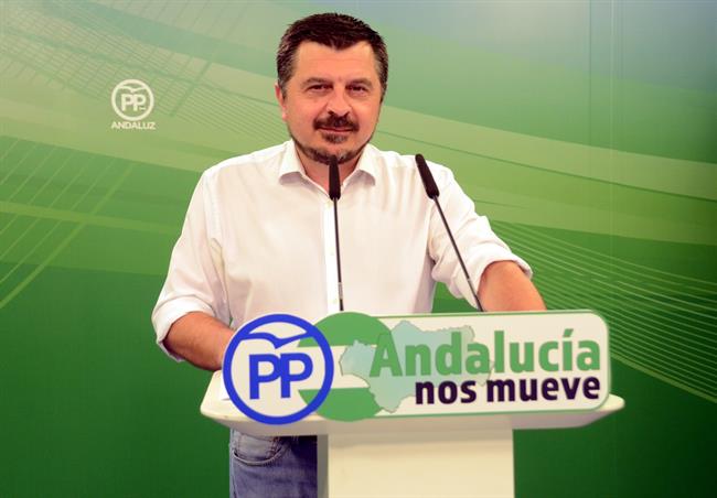 El vicesecretario de Organización del PP Andaluz, Toni Martín. | PP-A ep vicesecretarioorganizacionpp andaluz toni martin