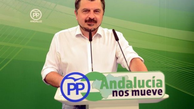 ep vicesecretarioorganizacionpp andaluz toni martin