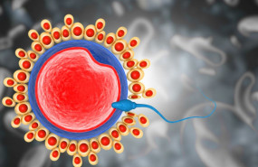 1623660106 imagen 1623660106 imagen