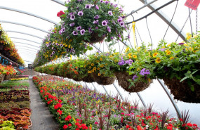 1624296203 dijardin 1624296203 dijardin