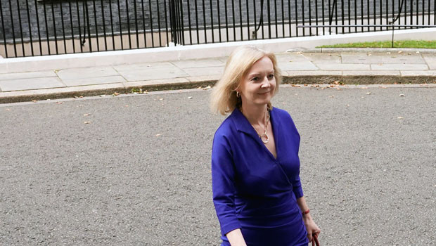 dl liz truss mp parti conservateur cabinet conservateur elizabeth pd