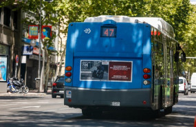 ep anetra insistela necesidadabrirla competenciatransporte regularautobus