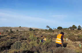 ep archivo   proyecto de reforestacion en ejulve teruel en el que ha participado mutualidad de la