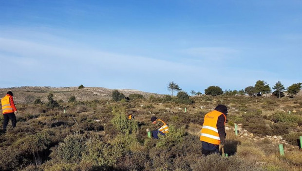 ep archivo   proyecto de reforestacion en ejulve teruel en el que ha participado mutualidad de la