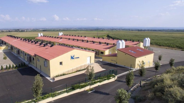 ep archivo vall companys ep archivo vall companys