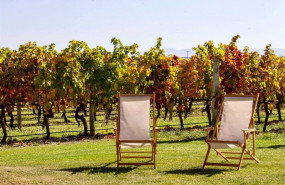 ep vinedos de la rioja