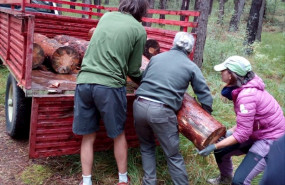 ep voluntarios de parques nacionales