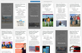 proceso de seleccin 20250514183315 proceso de seleccin 20250514183315