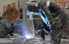 1616425375 plant 43458011280