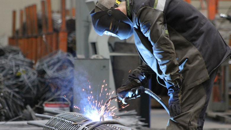 1616425375 plant 43458011280