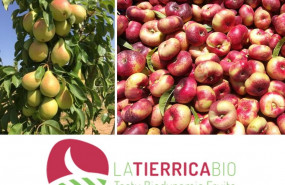 1634541866 la tierrica bio02