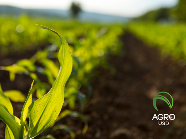 agrousd la stablecoin respaldada por el campo que transforma la inclusin financiera rural