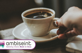 ambiseint 20230322141918 