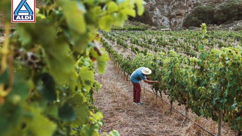 ep aldi presenta la iniciativa fecha de extincion para concienciar al sector sobre los efectos ep aldi presenta la iniciativa fecha de extincion para concienciar al sector sobre los efectos