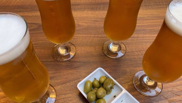 ep archivo   cervezas y aceitunas en una imagen de archivo