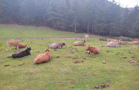ep archivo   el departamento de agricultura sigue coordinando las actuaciiones con el ministerio y