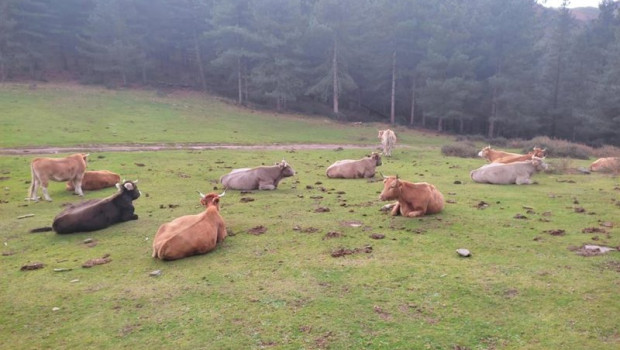 ep archivo   el departamento de agricultura sigue coordinando las actuaciiones con el ministerio y
