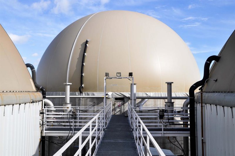 La superación de estos precios en esta papelera española la devolvería a la vida