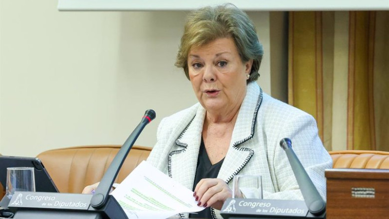 ep archivo la presidenta del tribunal de cuentas enriqueta chicano javega ep archivo la presidenta del tribunal de cuentas enriqueta chicano javega