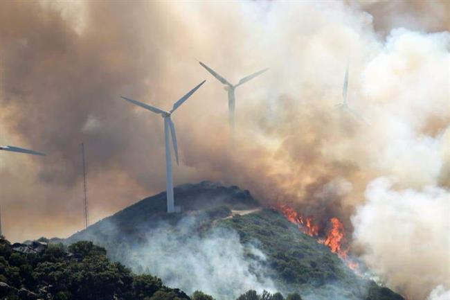 Incendio forestal en Tarifa (Cádiz) | CONSORCIO DE BOMBEROS DE CÁDIZ ep incendio forestaltarifa cadiz