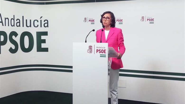 La portavoz adjunta del Grupo Parlamentario Socialista, Rosa Aguilar, en rueda de prensa en Almería | PSOE-A ep la portavoz adjunta del grupo parlamentario socialista rosa aguilar en rueda de prensa en almeria