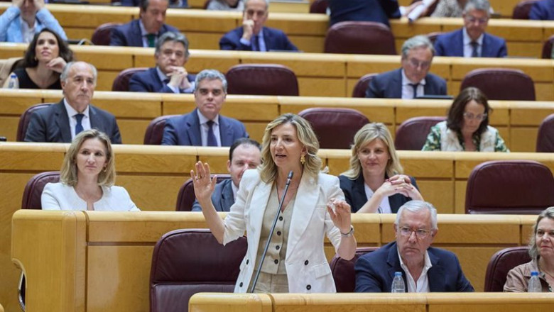 ep la portavoz del partido popular en el senado alicia garcia rodriguez interviene durante una ep la portavoz del partido popular en el senado alicia garcia rodriguez interviene durante una
