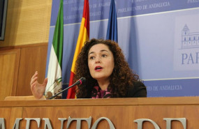 ep la responsable de politica institucional de iu andalucia y portavoz parlamentaria de adelante