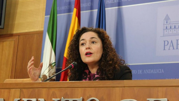 ep la responsable de politica institucional de iu andalucia y portavoz parlamentaria de adelante
