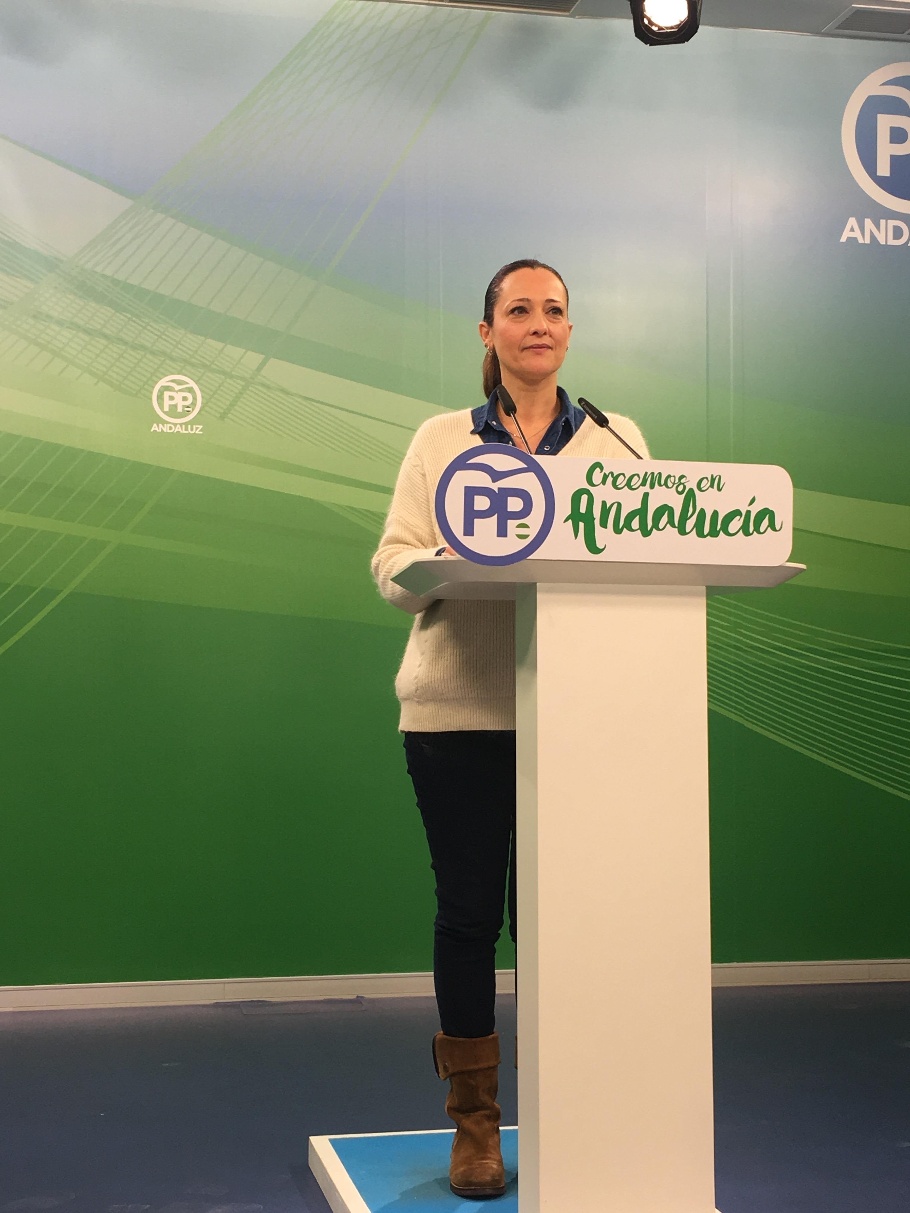 ep la vicesecretariapp-a maribel lozano en ruedaprensa 20180105132502