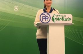 ep la vicesecretariapp-a maribel lozano en ruedaprensa 20180105132502