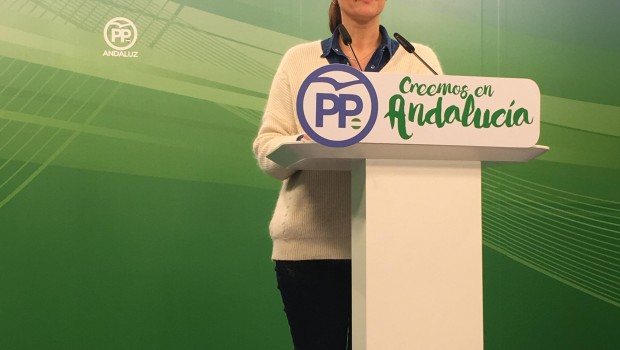 ep la vicesecretariapp-a maribel lozano en ruedaprensa 20180105132502