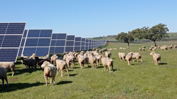 ep paneles solares de endesa