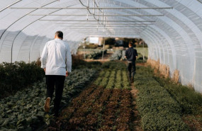 ep relais chteaux y slow food lanzan la campana global plantar el futuro para promover una cocina