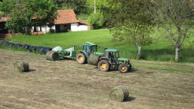 ep rural campo asturiano pac agricultura