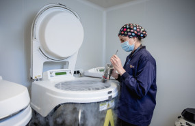 equipojuanacrespo vitrificacionovulos 20250407192252 equipojuanacrespo vitrificacionovulos 20250407192252