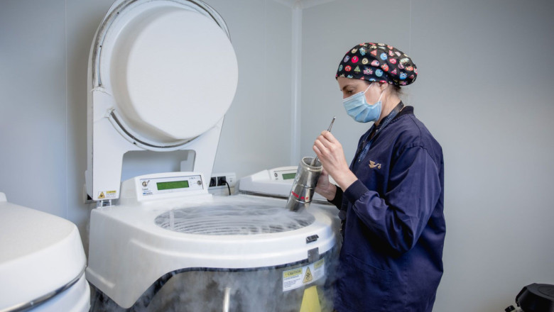 equipojuanacrespo vitrificacionovulos 20250407192252 