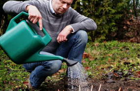 1597825534 captura de pantalla 2020 08 19 a las 102606